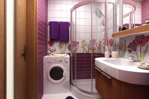 Душевая кабина и стиральная машина