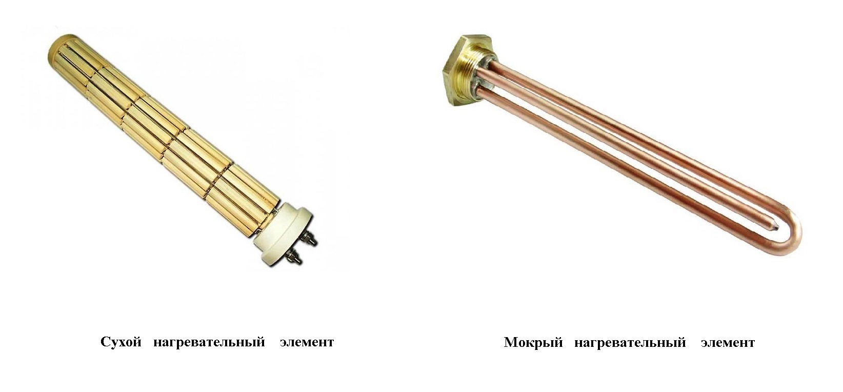 Виды тэнов